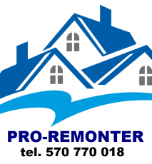 PRO-REMONTER Damian Wiśniewski
