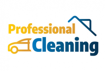 PROFESSIONAL CLEANING