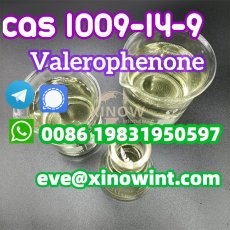 1009-14-9 Valerophenone CAS 1009-14-9 Russia