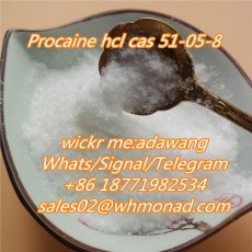 procaine hcl powder cas 51-05-8