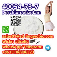 Deschloroetizolam CAS 40054-73-7 