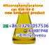 5449 powder new bmk end product 4-Fluorophenylacetone 459-03-0