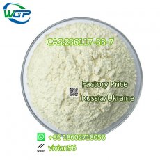 CAS 236117-38-7