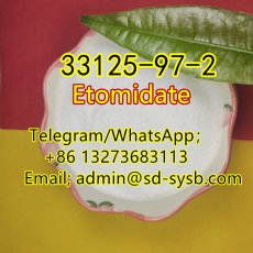 13 CAS:33125-97-2 Etomidate