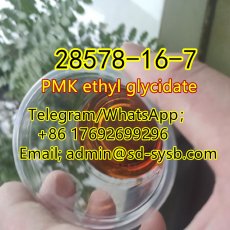  107 CAS:28578-16-7 PMK ethyl glycidate