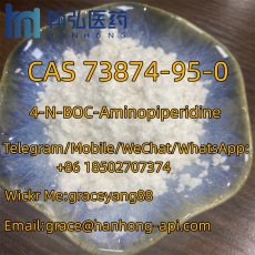 4-N-BOC-Aminopiperidine CAS 73874-95-0