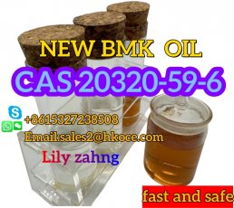 Diethyl(phenylacetyl)malonate  New BMK Liquid CAS.20320-59-6 
