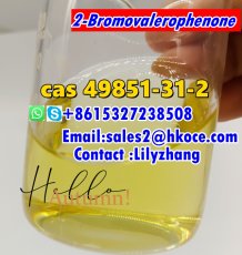 Low MOQ New 2-Bromovalerophenone CAS.49581-31-2 China factory