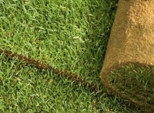 TRAWA W ROLCE PREMIUM