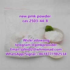 pmk powder cas 28578-16-7 in europe