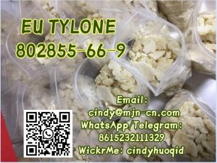 Eutylone  Cas:802855-66-9