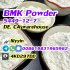 cas 5449-12-7 Germany Canada Stock BMK Powder 5449-12-7