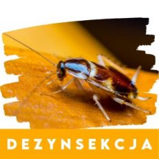 DEZYNSEKCJA - USŁUGI