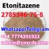 Top quality Etonitazepyne CAS:2785346-75-8