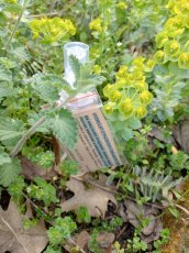 Hydrolat z pączków i gałązek czeremchy 