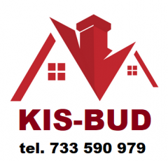 KIS-BUD Roman Kis