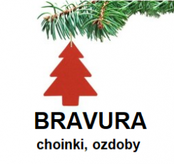 BRAVURA Damian Gładysz