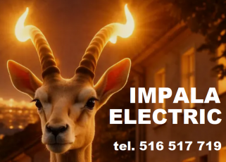 IMPALA ELECTRIC Piotr Czarnecki