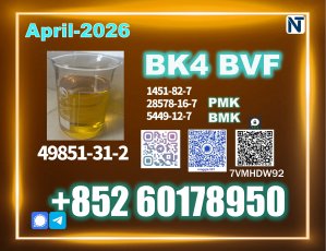 49851-31-2 bvf 2b4m Bulk Price Available 