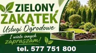 ZIELONY ZAKĄTEK Usługi Ogrodowe