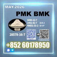 CAS 28578-16-7 New PM.K Competitive Bulk Pricing