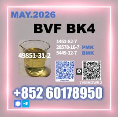 Top Factory 49851-31-2 BK4 Fast Custom Clearance