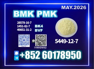 BMK CAS 5449-12-7 manufacturer direct supply