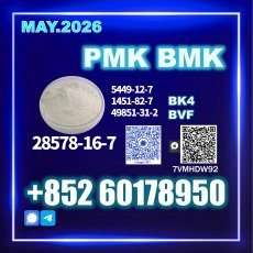 New PMK CAS 28578-16-7 In Production
