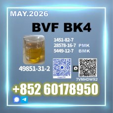 Bulk available now CAS 49851-31-2 BVF oil