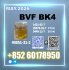 Bulk available now CAS 49851-31-2 BVF oil