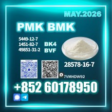 CAS 28578-16-7 New PM.K B.MK direct supply