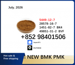 BMK 5449-12-7 cas 28578-16-7 PMK 1451-82-7 wholesale in stock