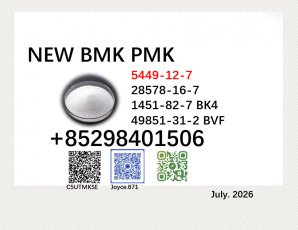 5449-12-7 cas 28578-16-7 BMK 1451-82-7 PMK powder 49851-31-2