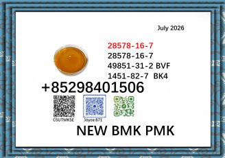 28578-16-7 PMK ethyl glycidatei powder oil supply best price 