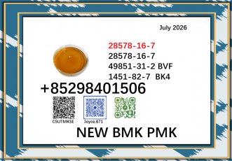 28578-16-7 BMK 5449-12-7 glycidic acid sodium salt sell