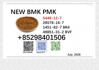 5449-12-7 and 28578-16-7 factory bulk supply new BMK PMK 