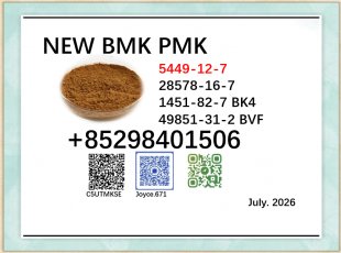 Doorstep delivery new PMK BMK cas 5449-12-7 and 28578-16-7