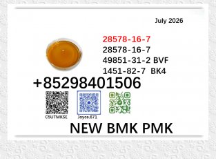 CAS 28578-16-7 BMK 5449-12-7 PMK ethyl glycidate