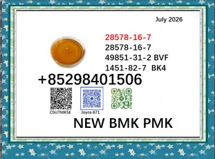5449-12-7 glycidic acid sodium salt 28578-16-7 free shipping PMK